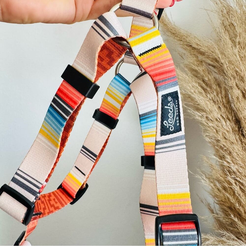 NEW LEEDS Califia Cream Orange Stripe Buckle Dog Collar Step In Harness $85 Set - Picture 10 of 13